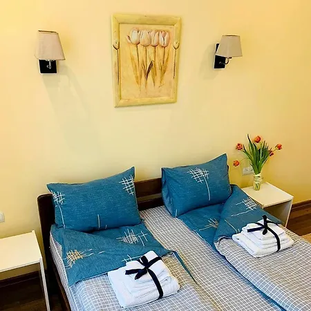 Homey On Vicheva Str. Lviv