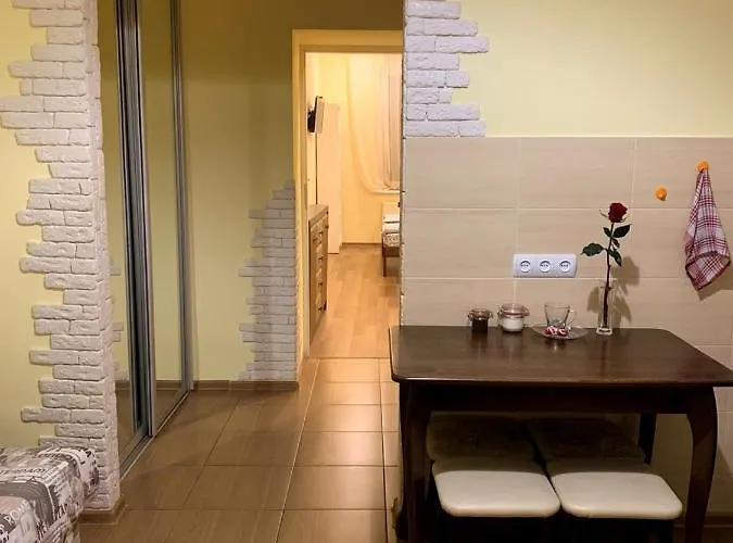 Homey On Vicheva Str. Apartamento *