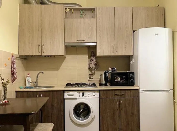 Homey On Vicheva Str. شقة إلفيف